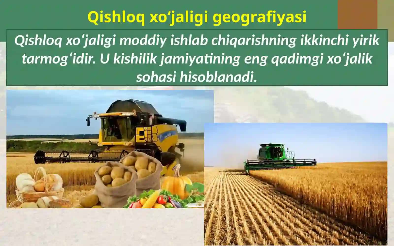 Qishloq xo‘jaligi geografiyasi 3