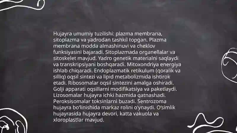 Odam tana qismlari tuzilishi va funktsiyalari 3