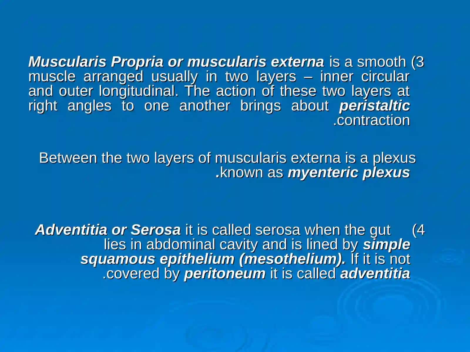 HISTOLOGY OF THE DIGESTIVE SYSTEM 3