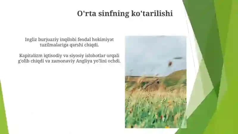 Angliyada kapitalizmning g'alaba qilishi va ingliz burjuaziya ingqilobi 3