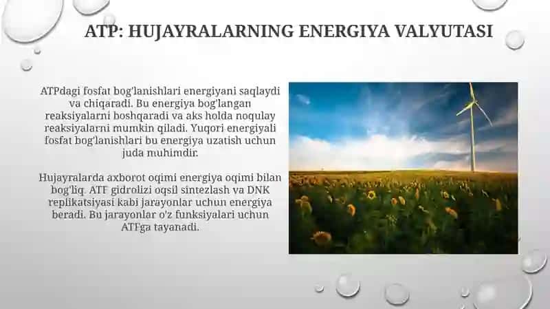 Hujayra moddalari, energiya va malumotlar oqimi 3
