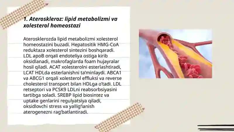 Ateroskleroz rivojlanishining biokimyoviy asoslari 3