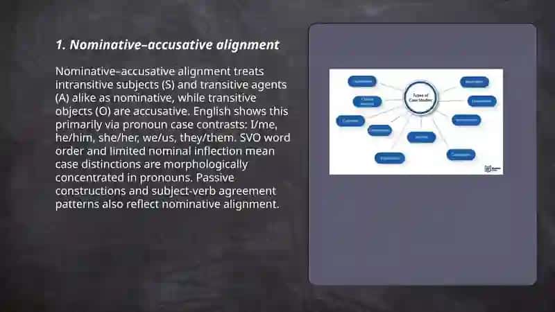 Typology categories of case 3