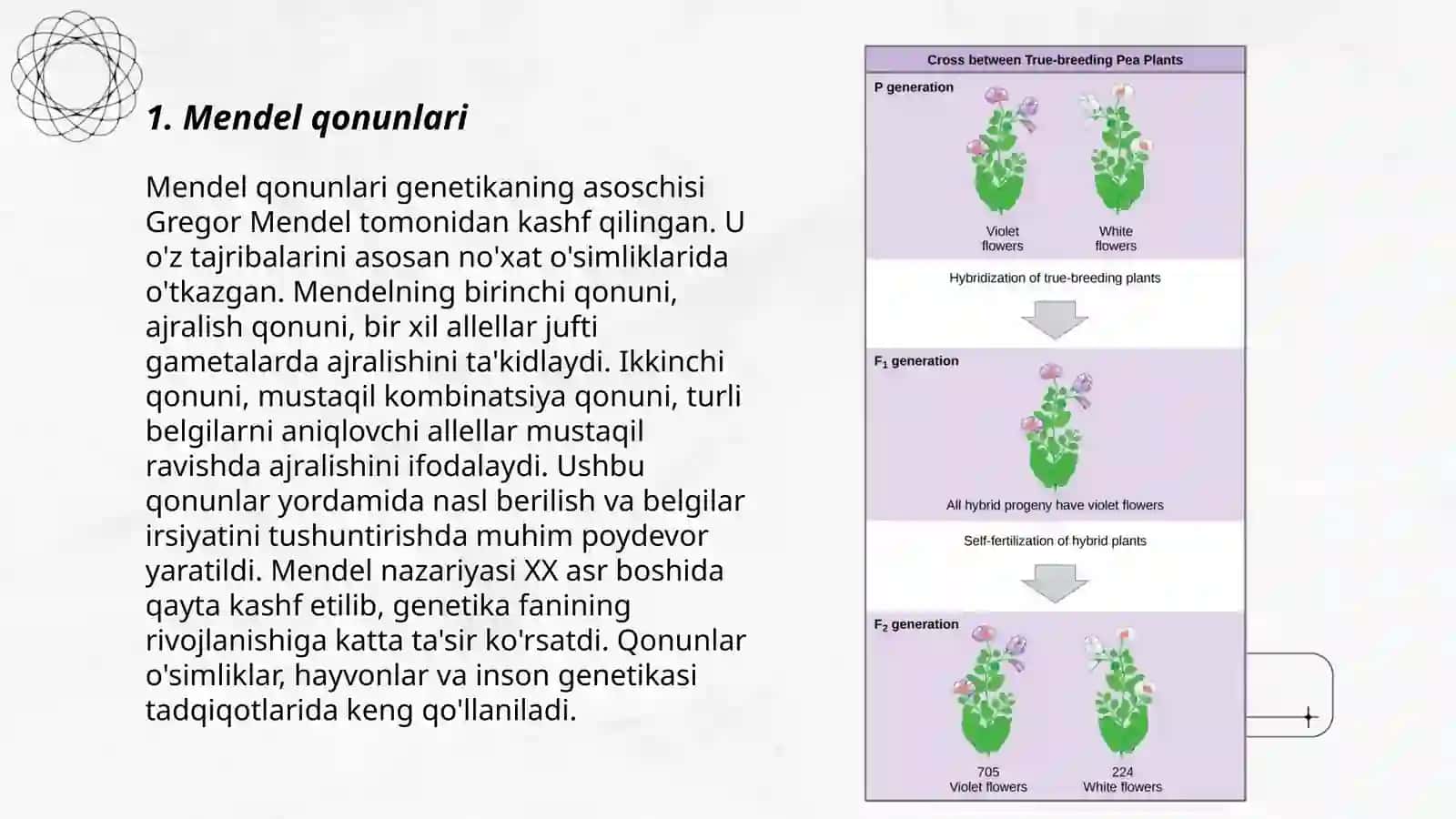 Mendel qonunlari 3