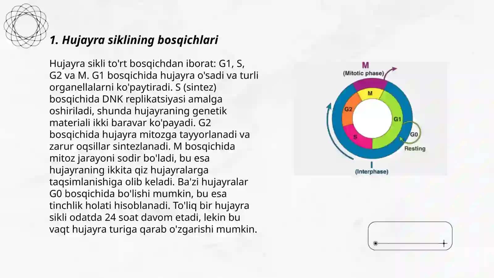 Hujayra sikli va hujayra replikatsiyasi boshqaruvi mexanizmlari 3
