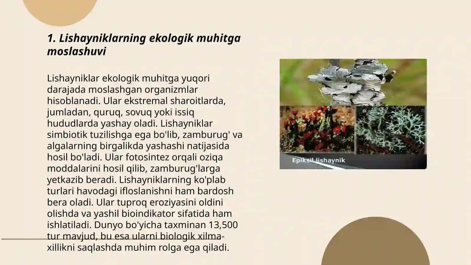 Lishayniklarni tarqalishi va ahamiyati 3