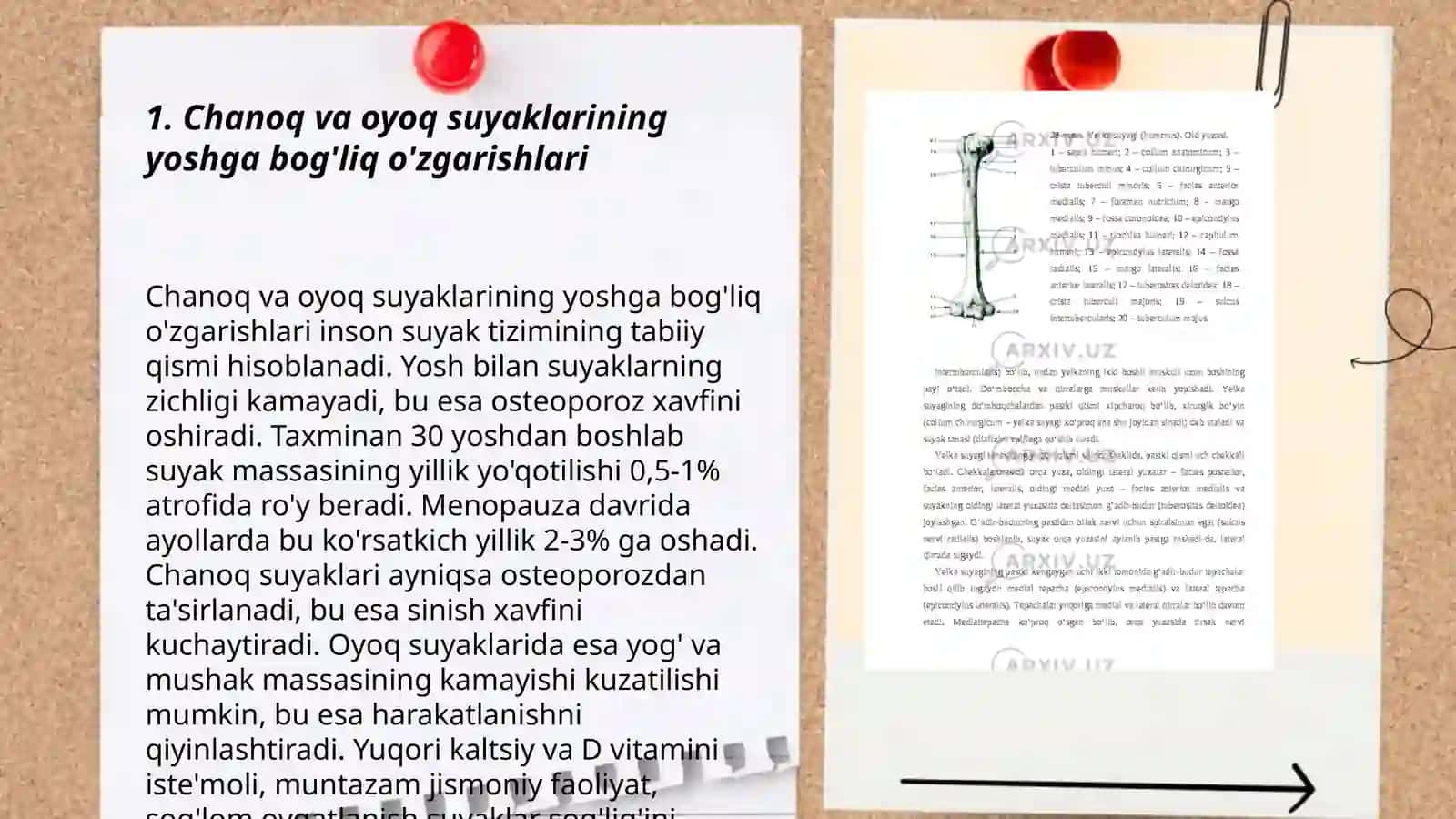 Chanoq va oyoq suyaklarining yoshga nisbatan xususiyatlari 3