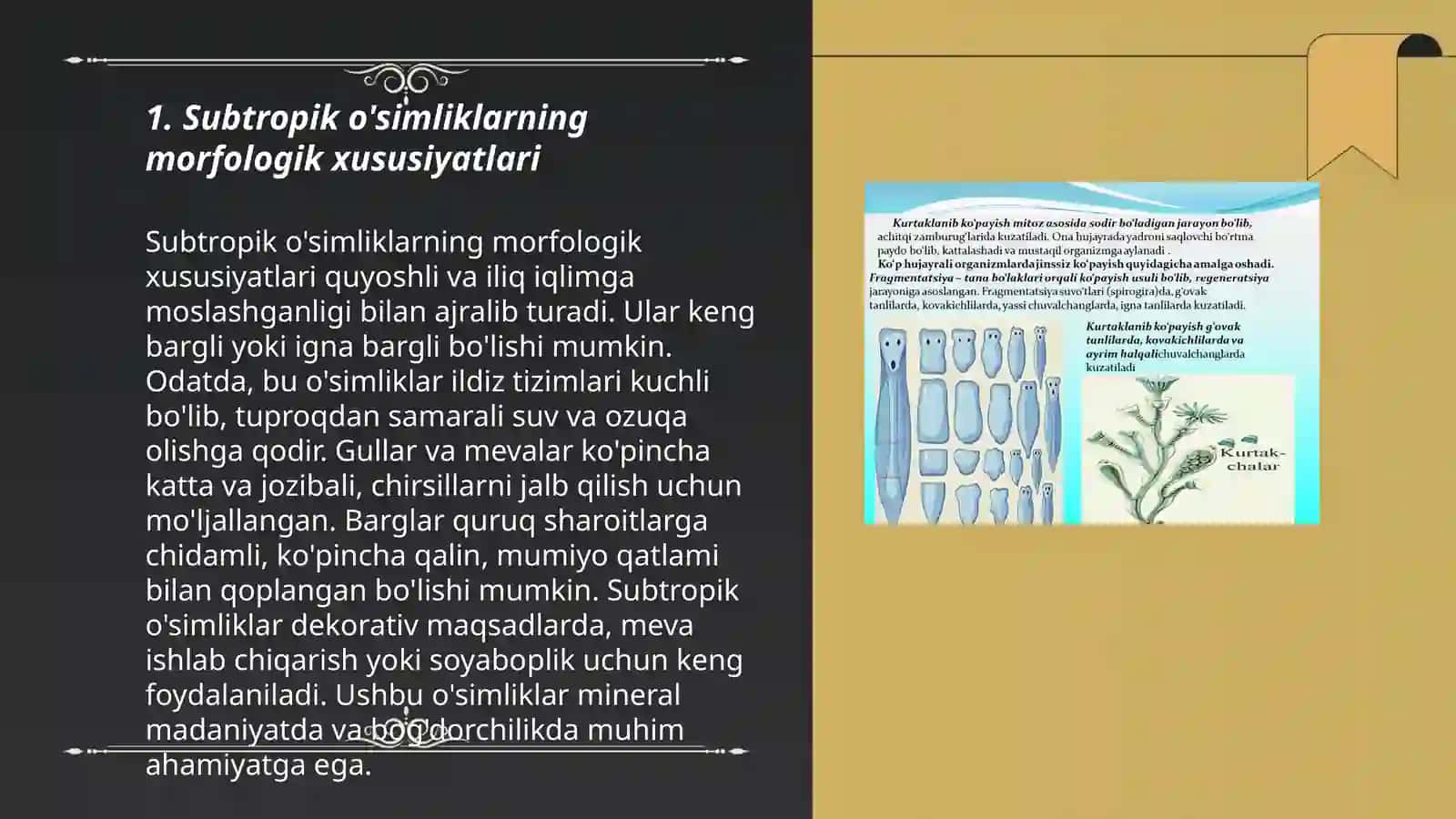 Subtropik o'simliklar va rezavor mevalar morfologiyasini o'rganish. Tokzorlarni parvarish qilish 3