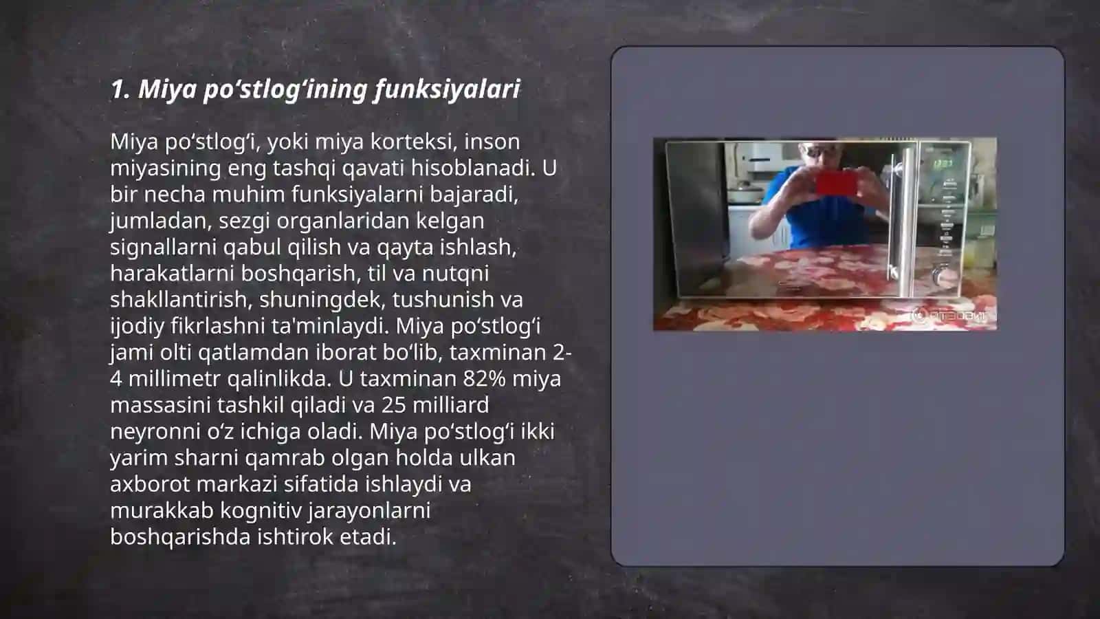 Miya poʻstlogʻining elektr faolligi 3