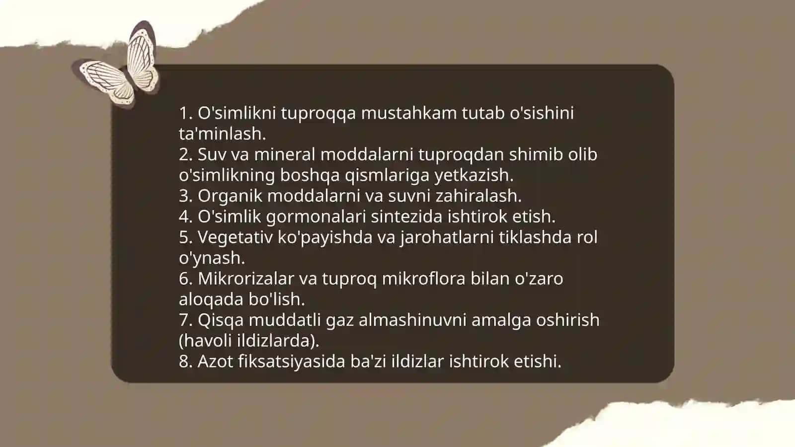Ildizning va uning vazifasi 3