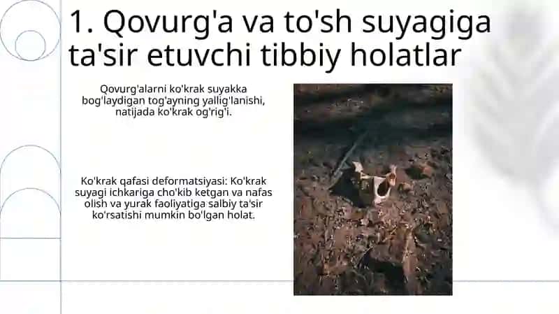 Qovurgalar va tosh suyagi 3