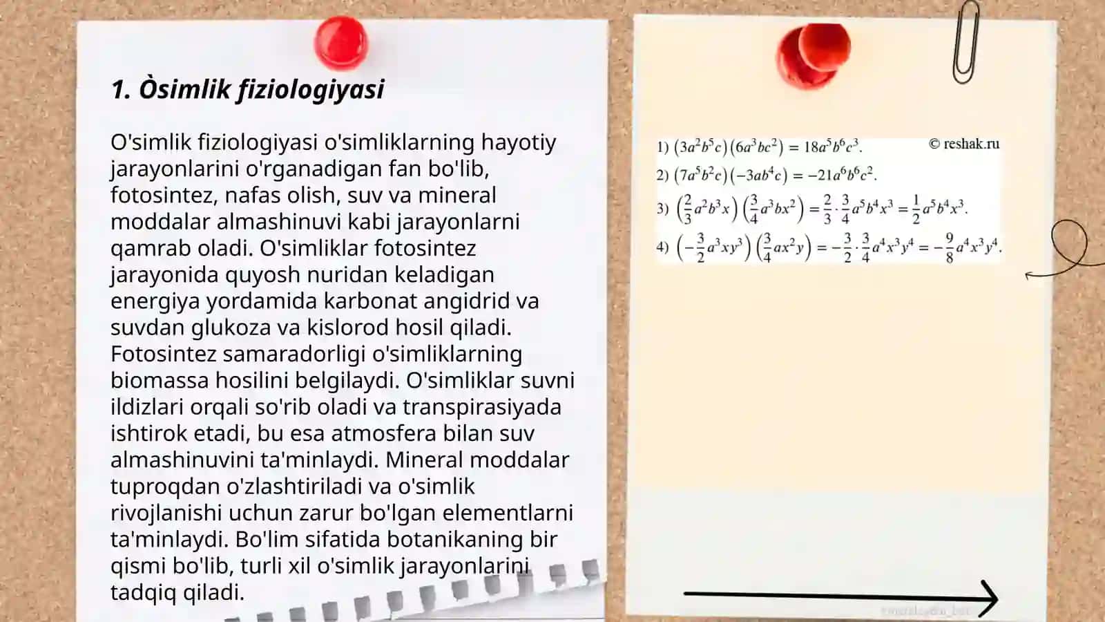 Òsimliklarni òĝitlash tizimining biologik asoslari 3