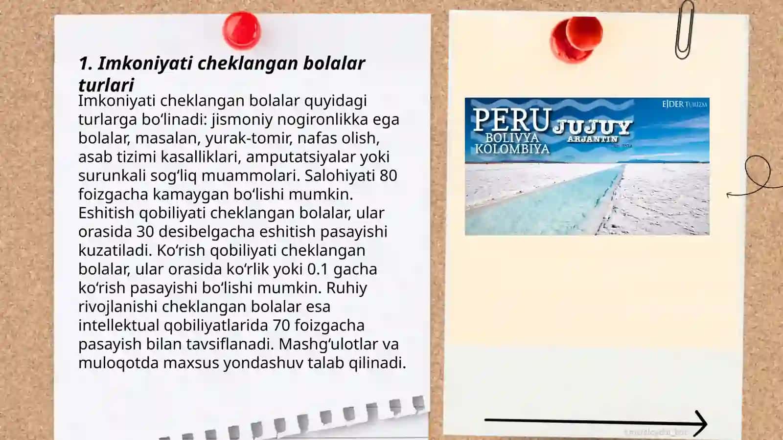 Imkoniyati cheklangan bolalar turlari va ularni inklyuziv ta'limga jalb etish 3