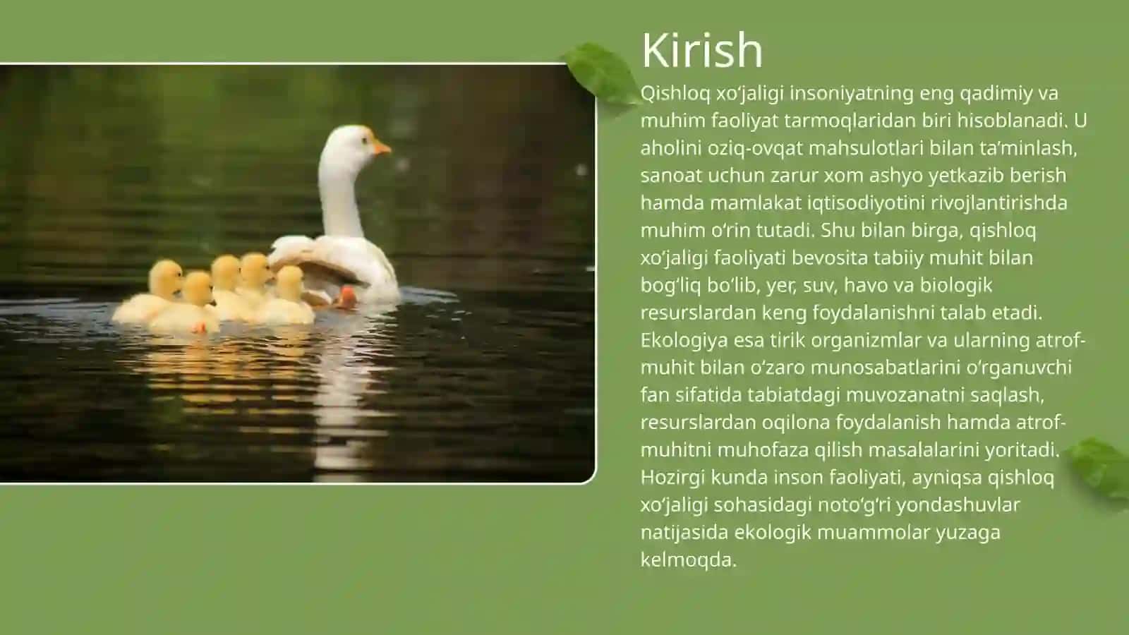 QISHLOQ XO‘JALIGI VA EKOLOGIYA 3
