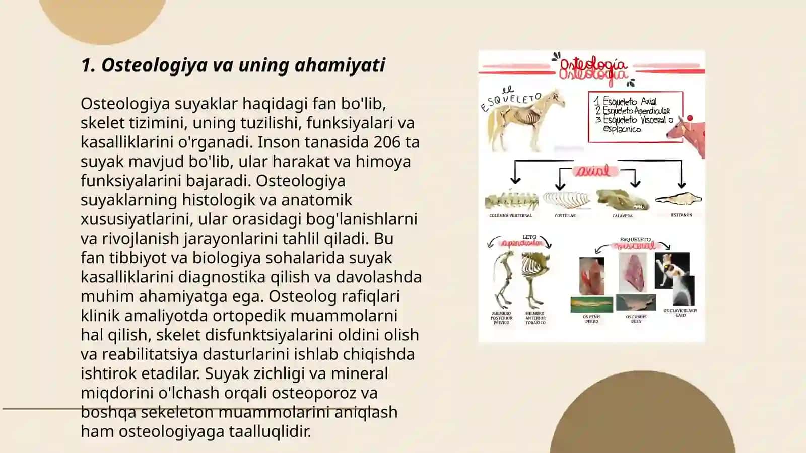 Osteologik kolleksiyalar tayyorlash 3
