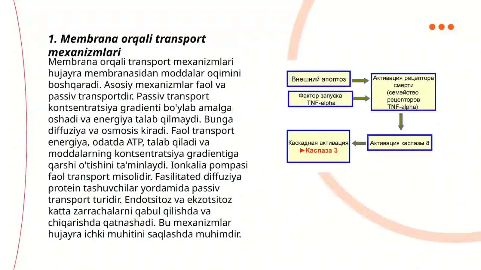 Membranalar orqali transport mexanizmi Boshqaruvchi ion kanallar 3