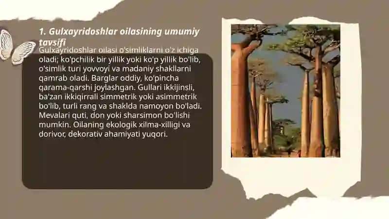 Gulxayridoshlar oilasi 3