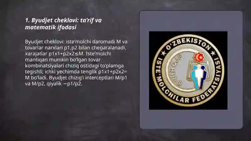 Byudjet cheklovi: ta’rif va matematik ifodasi 3