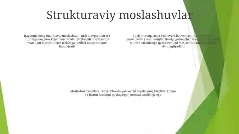 Turli Mintaqalarda Tarqalgan Hayvonlarning Adaptatsiya Xususiyatlari 3
