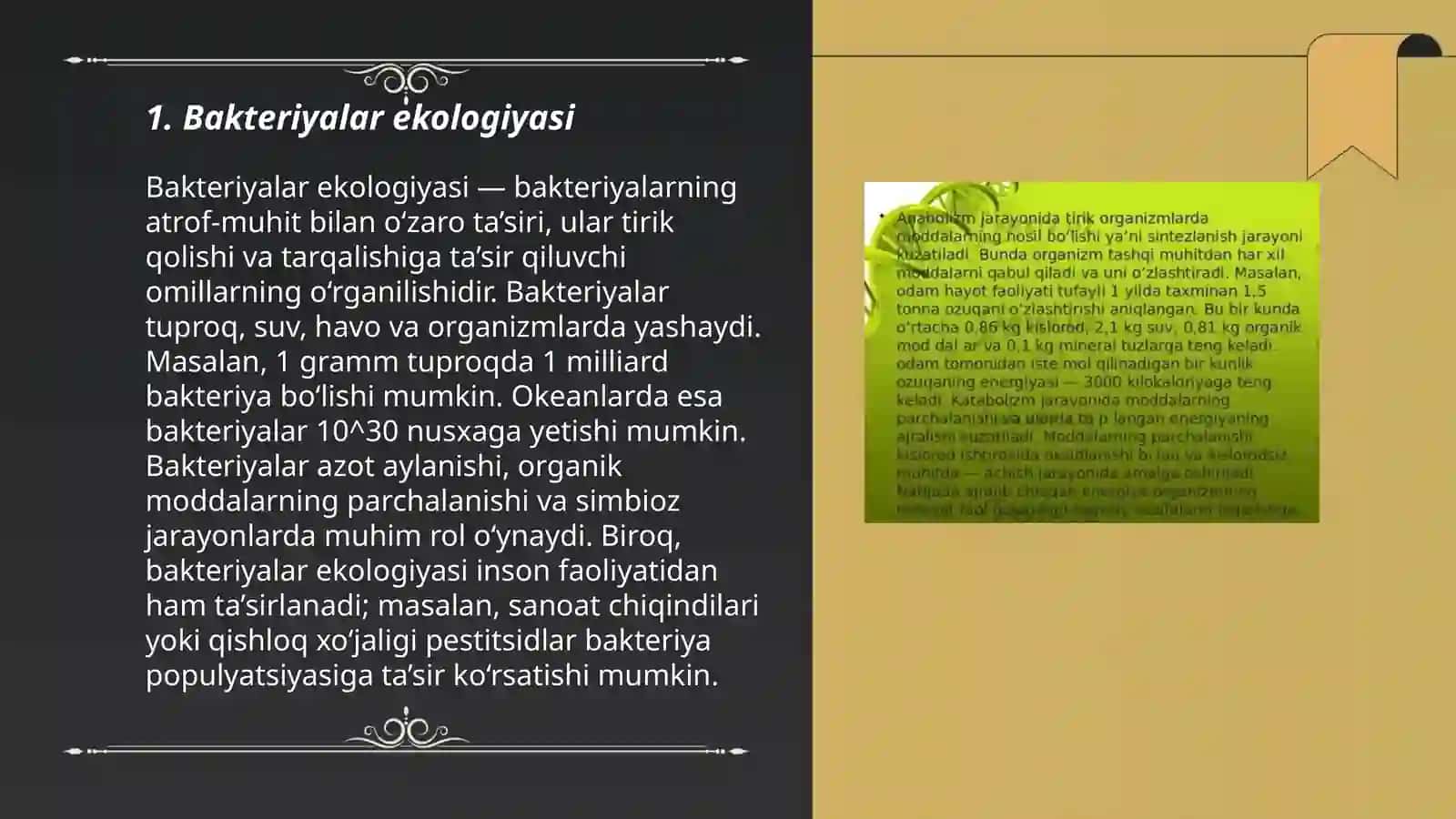 Bakteriyalarning spora hosil qilishi va sestimatikasi 3