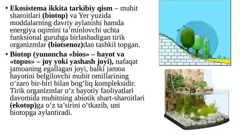 Ekosistemalar va ularning tarkibi 3