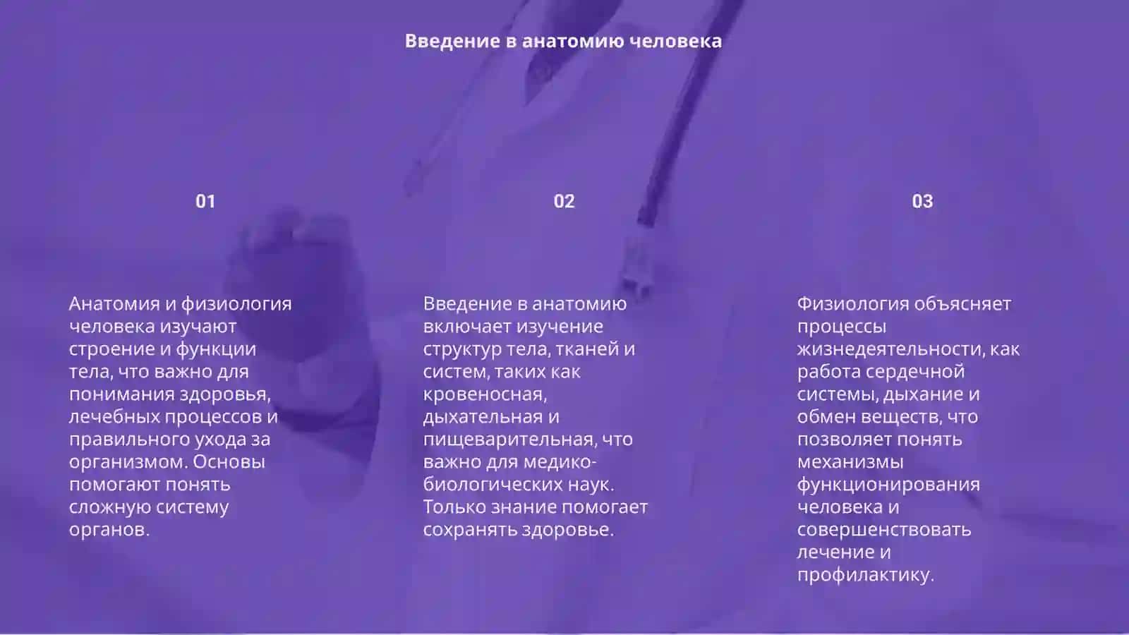Анатомия и Физиология человека 3