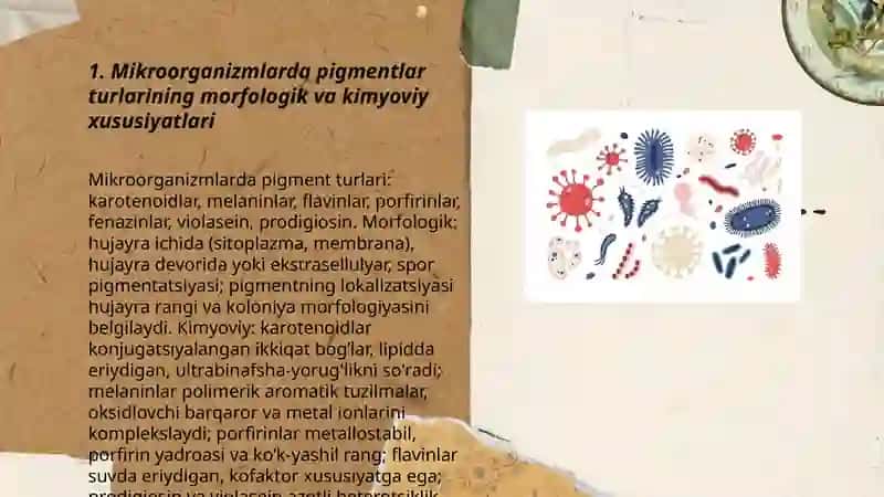 Mikroorganizmlar hayoti faoliyatida ishlab chiqaradigan mahsulotlar 3