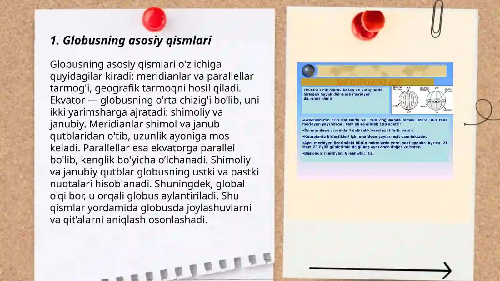 Globus, Ekvator va paralel chiziqlar 3
