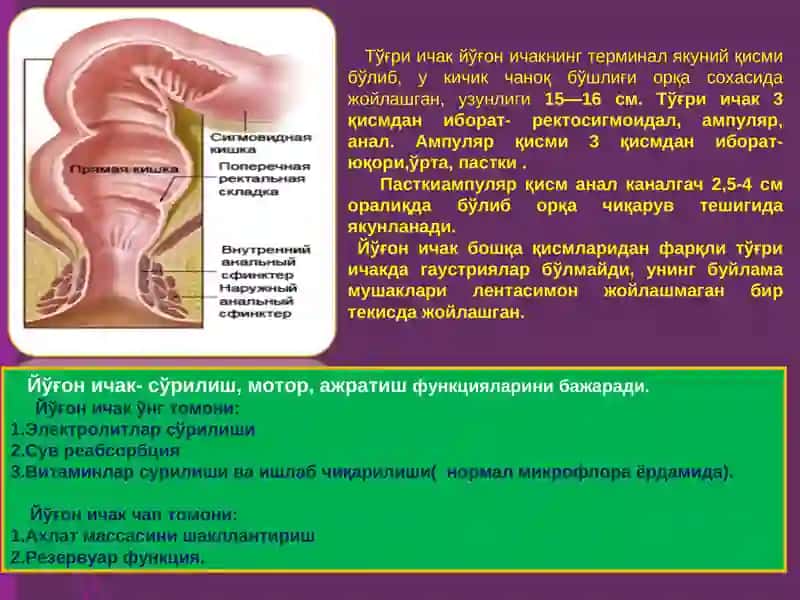 Онкология, болалар онкологияси курси 3
