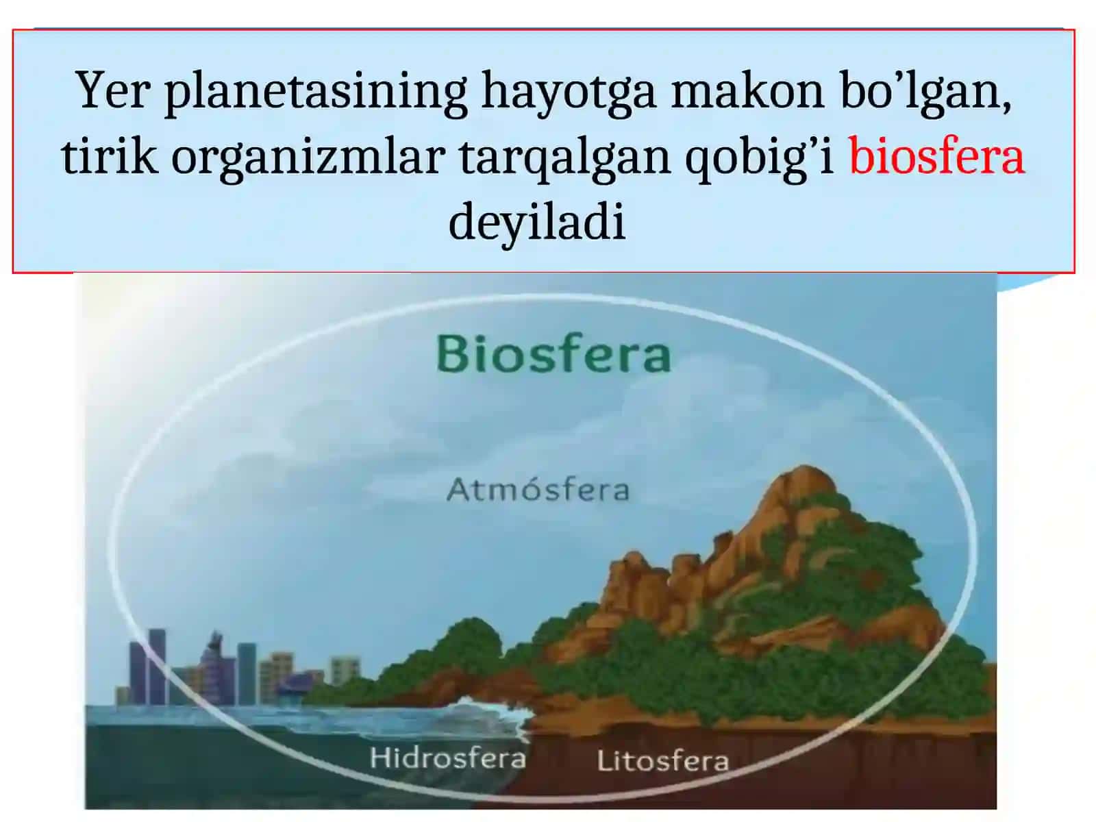 BIOSFERA, CHEGARALARI, BIOMASSA BIOLOGIK MAXSULDORLIK, BIOSFERADA ORGANIZMLARNINGXILMA-XILLIGI 3