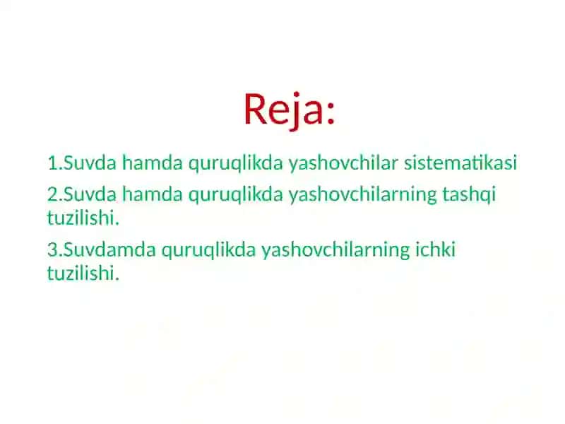 Zoologiya fanidan kurs ishi 3