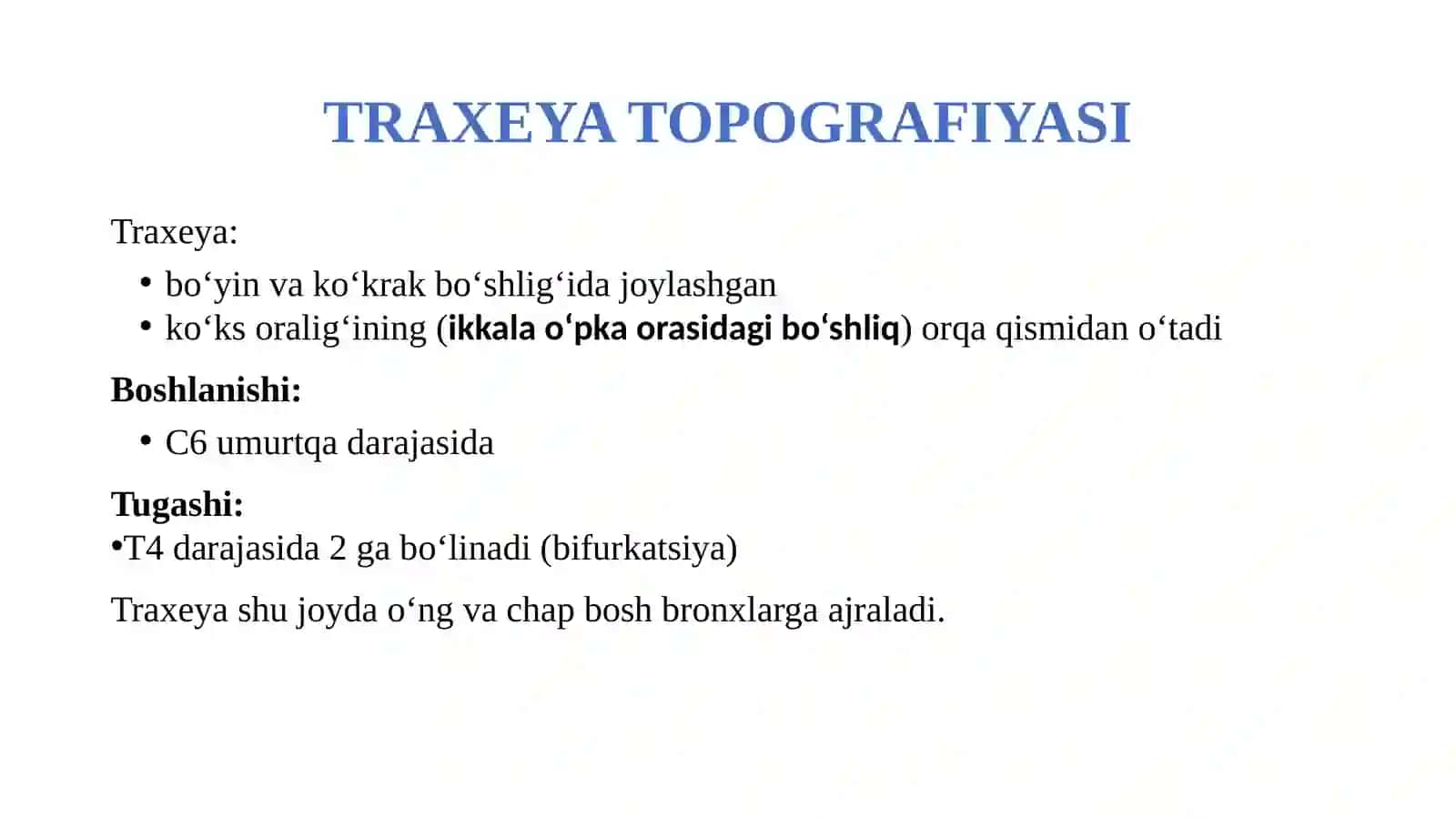Traxeya va bronxlar. Bronx daraxti va alveolalar tuzilishi 3