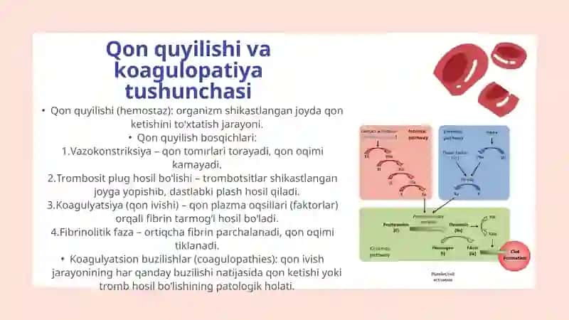Qon quyishda koagulyatsion buzilishlar: sabablari, tuzatish tamoyillari. 3