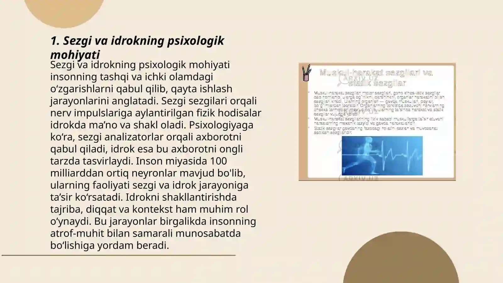 Sezgi va idrokning psixologik mohiyati, fiziologiyasi 3