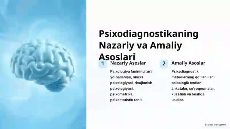 Psixodiagnostika: Tadqiqot va Amaliyot 3
