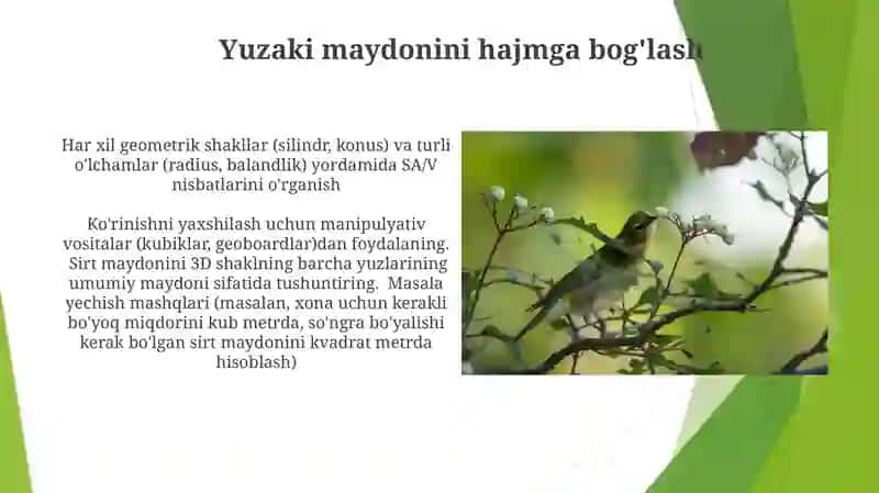 Geometriya kursi darslari yuzani o'qitish metodikasi 3