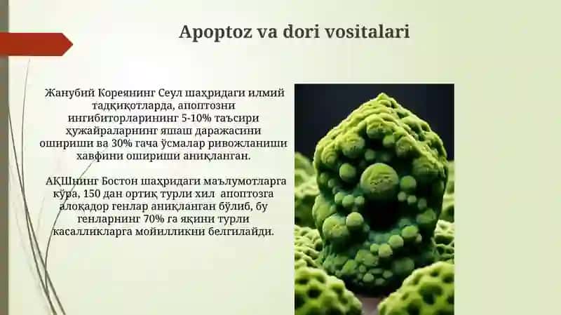 Hujayra oppoptozi va uning giologik ahamiyati 3