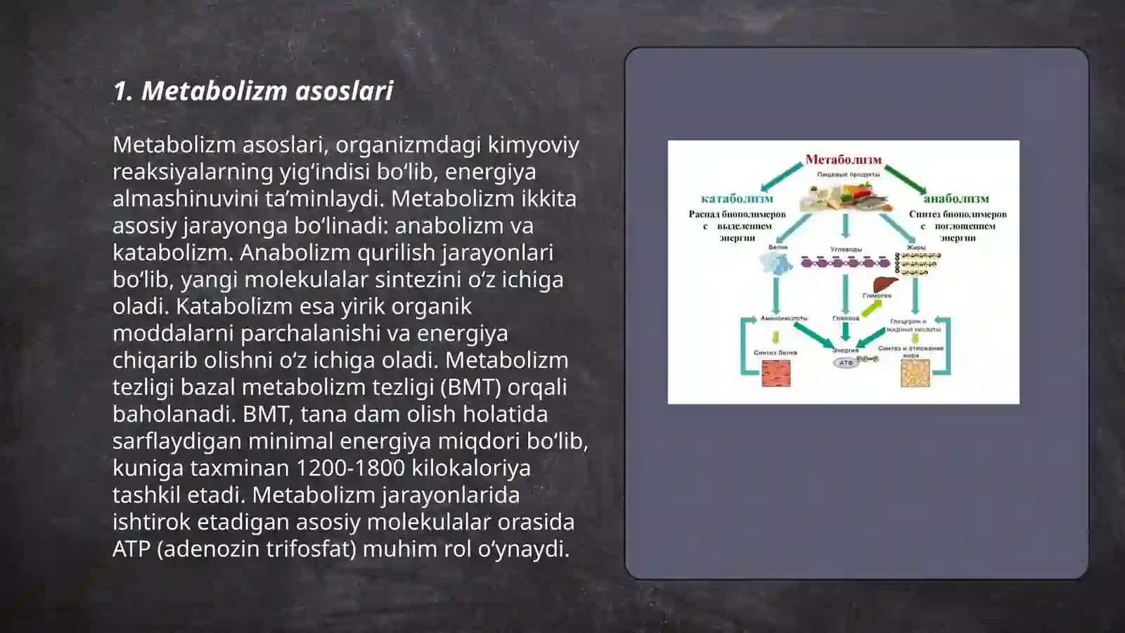 Metabolizm jarayonida energiya hosil boʻlishi va sarflanishi 3