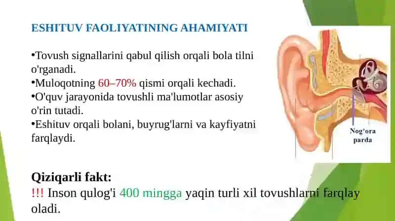 Eshituv faoliyati holatining kamchiliklari 3