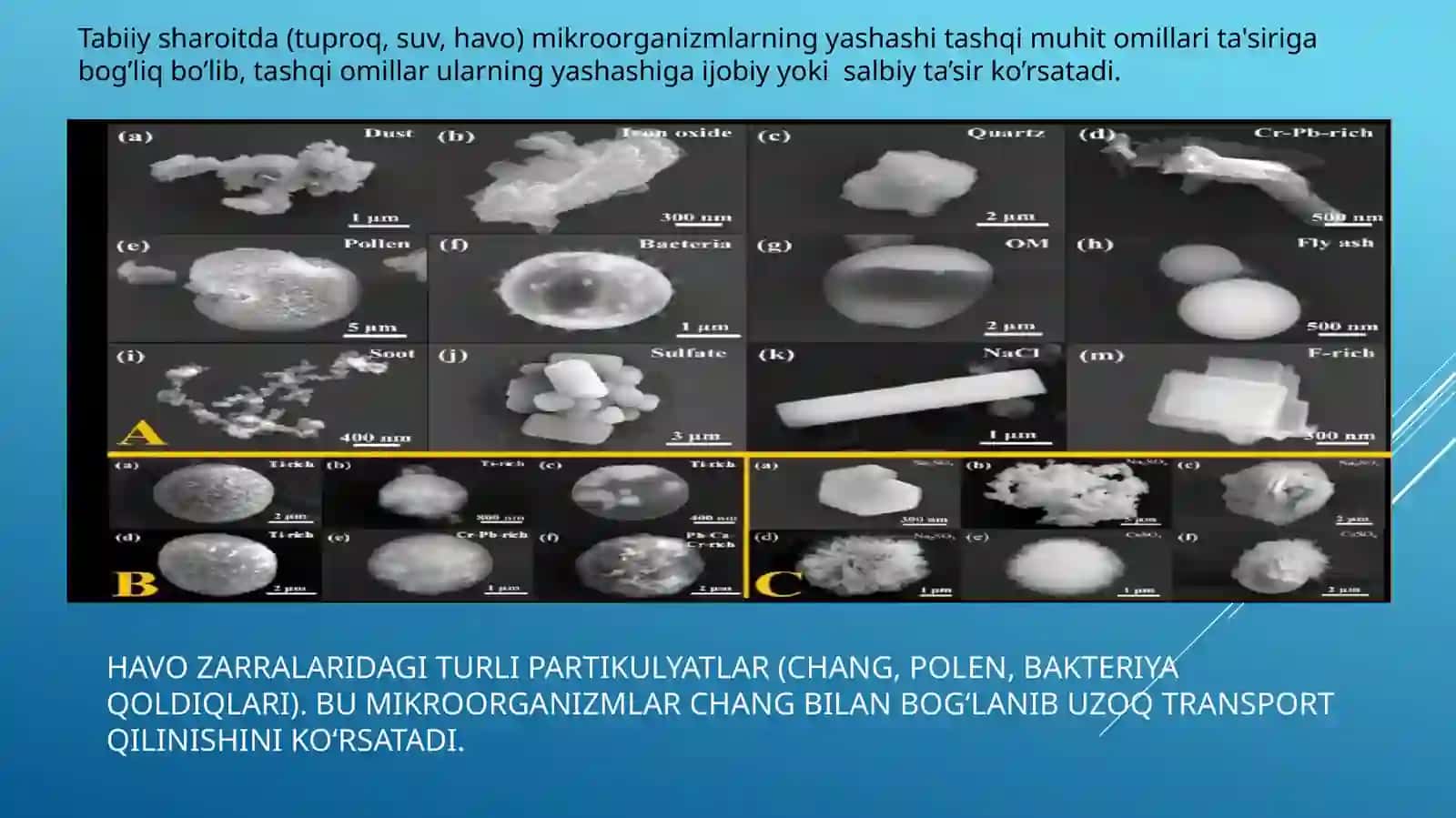 Mikroorganizmlarning o'sishigata'sir etuvchi ekologik omillar 3