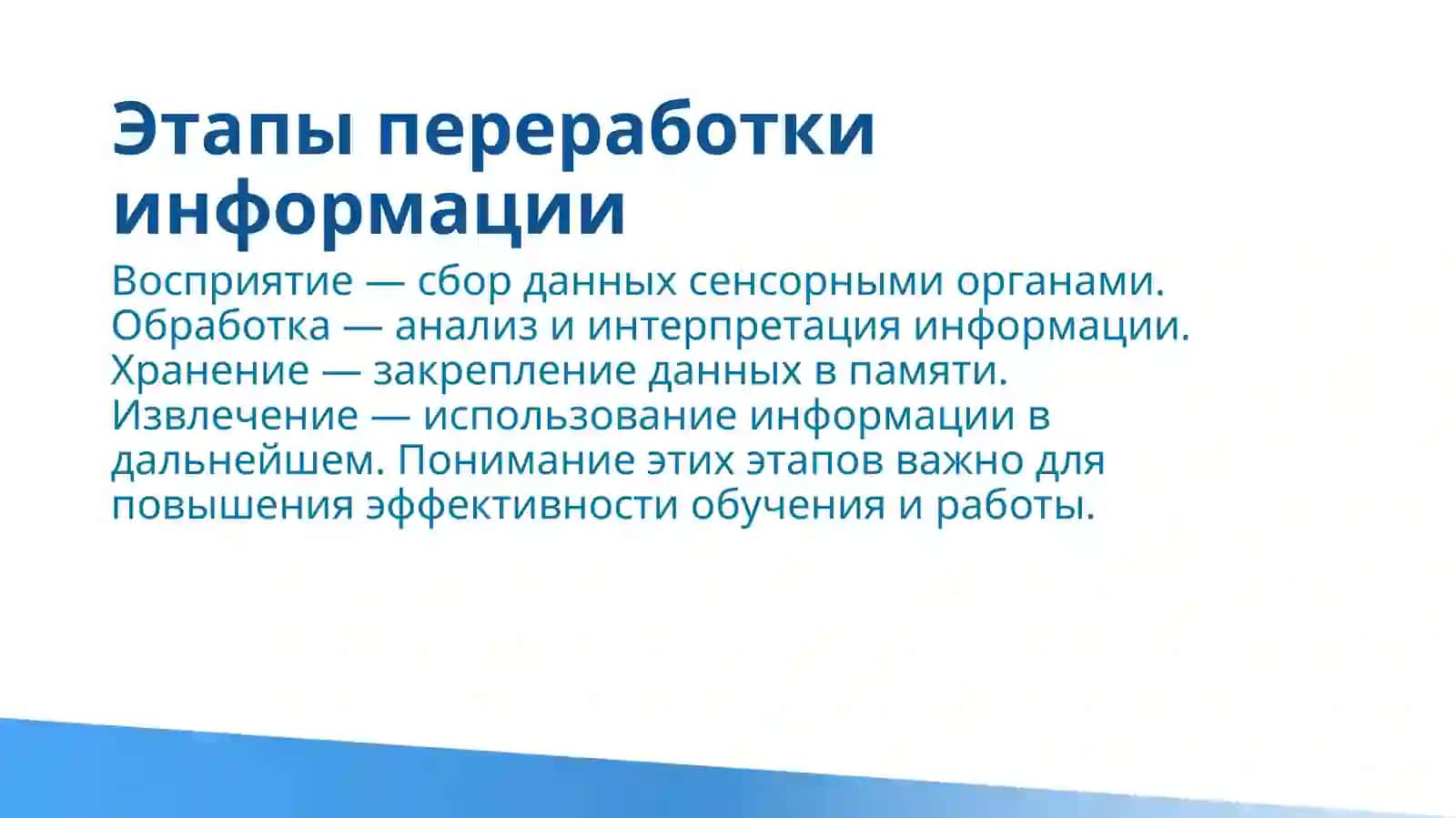 Система переработки информации человеком 3