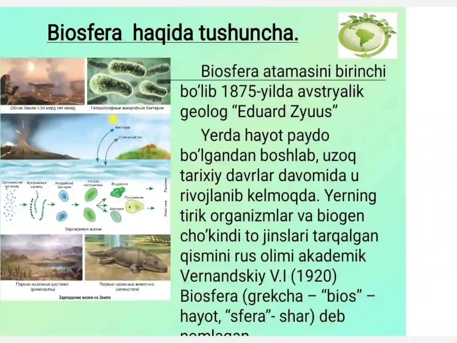 Biosfera. Biosferaning asosiy funksiyalari va tarkibi 3
