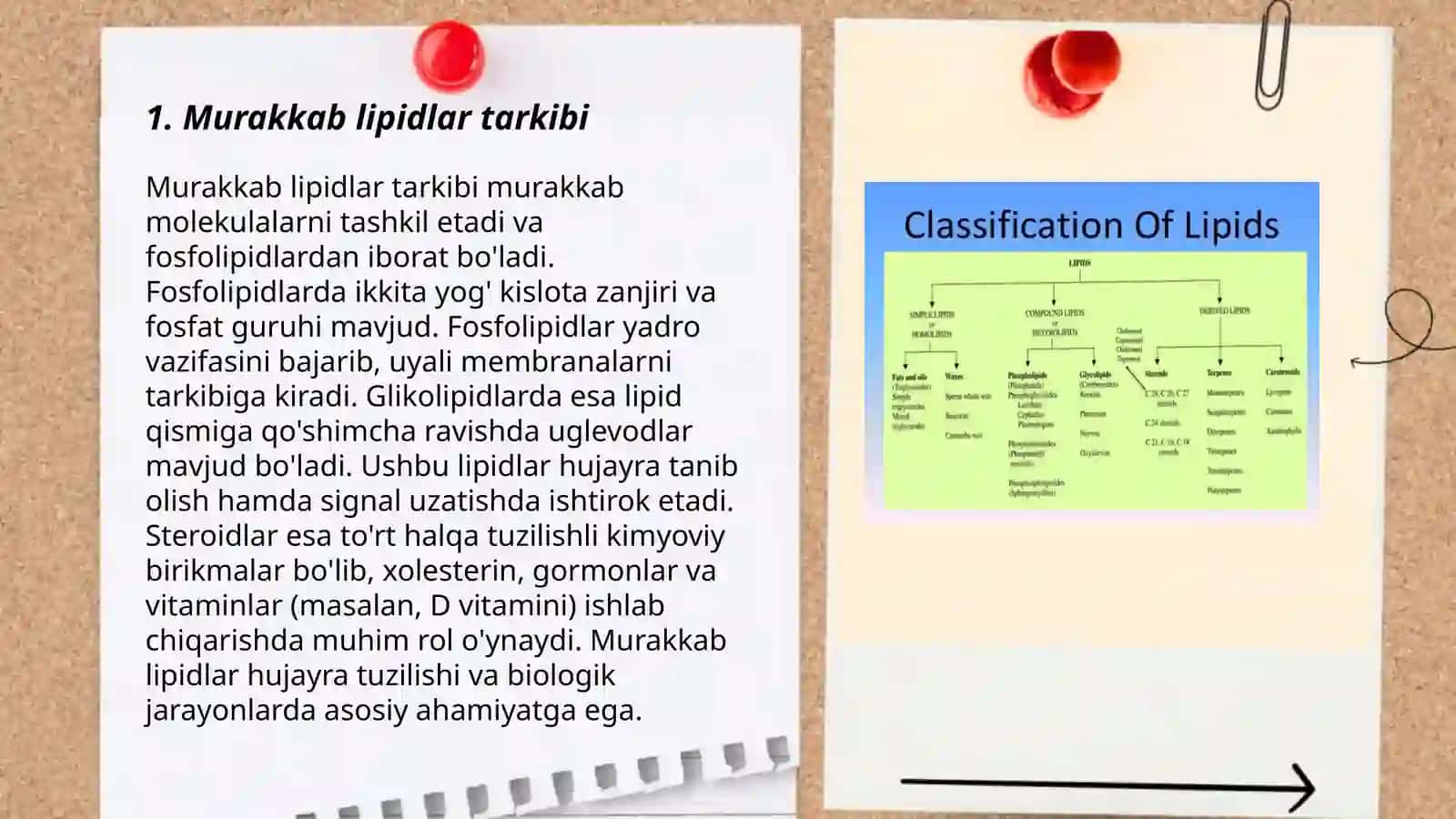 Murakkab lipidlar tuzilishi va xossalari 3