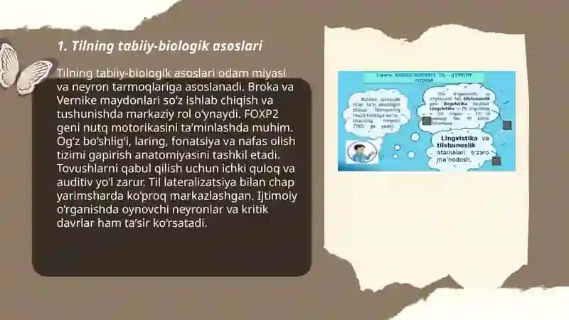 Tilning tabiiy-biologik fiziologik ijtimoiy xususiyatlari 3