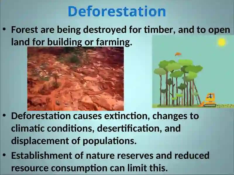 ENVIRONMENTAL PROBLEMS 3