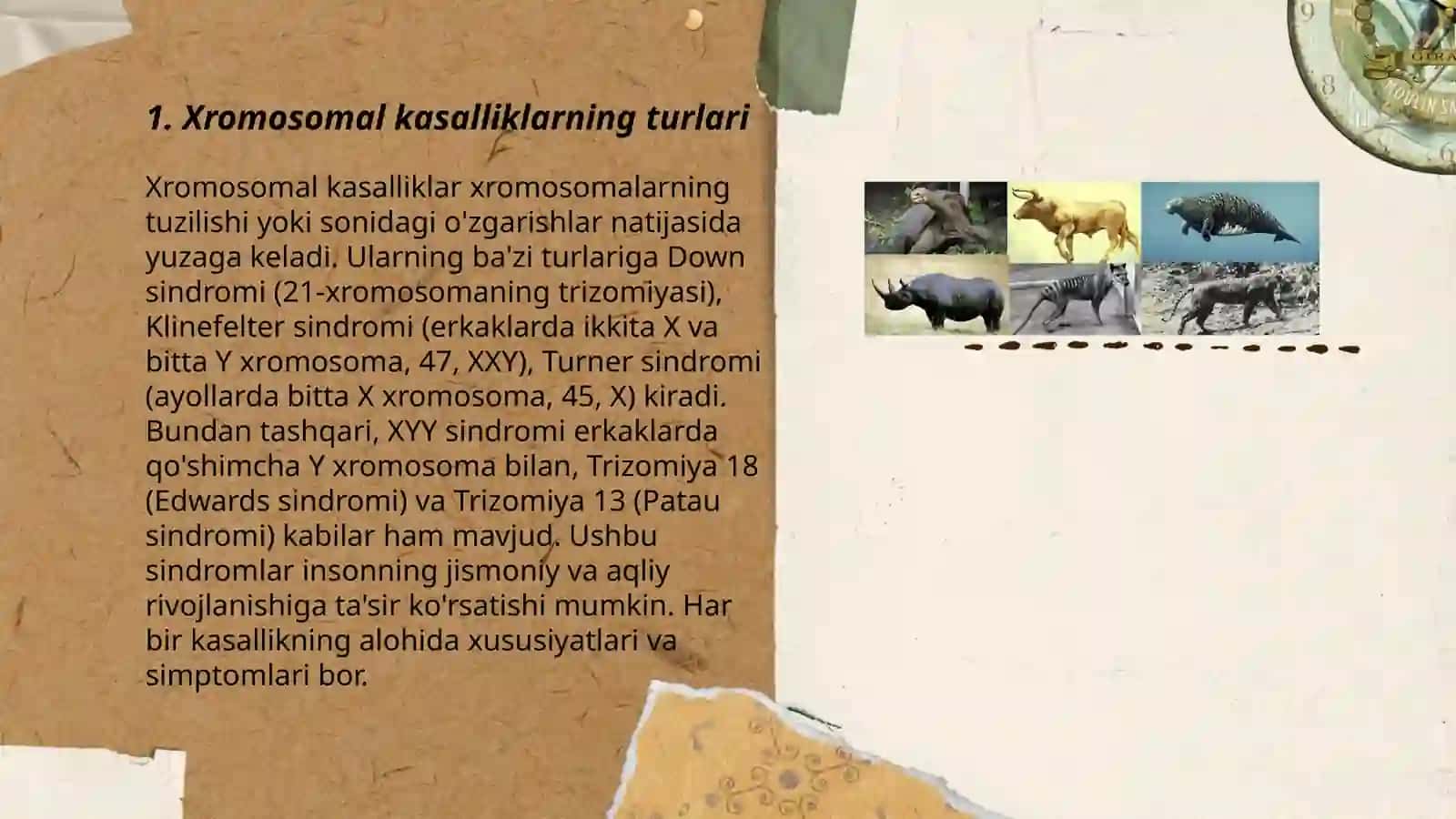 Xromasomalar kasalligi 3