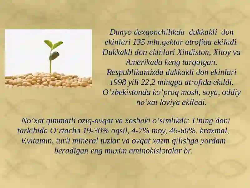 Dukkakli ekinlarni xalq xo’jaligidagi ahamiyati va tarqalishi 3