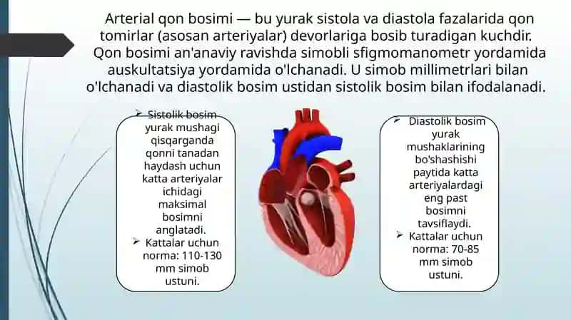 arterial qon bosimi 3