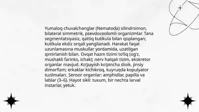Yumaloq chuvalchanglar tipi tavsifi va klassifikatsiyasi 3