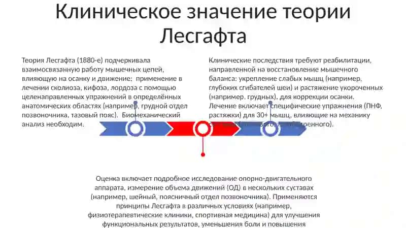 Мышечная функция и биомеханика 3